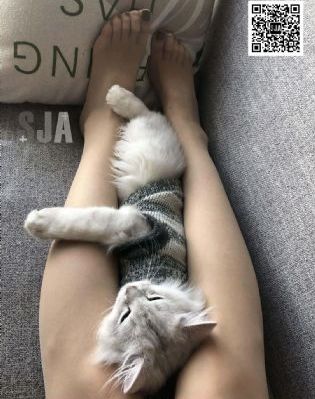 单立文三级无删减在线观看_高清在线播放